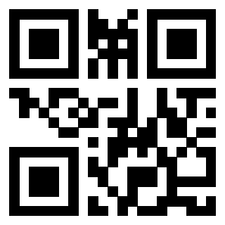 Il Qr Code di 3913632532