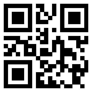Il Qr Code di 3913632565