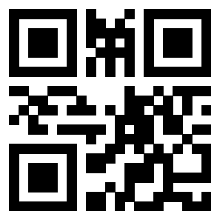 Il Qr Code di 3913632603