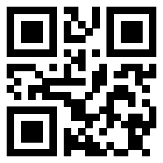 Il Qr Code di 3913632705