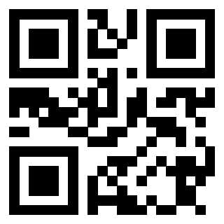 Il Qr Code di 3913632730