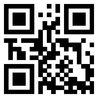 Il Qr Code di 3913632772