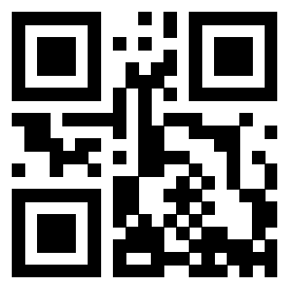Il Qr Code di 3913632882