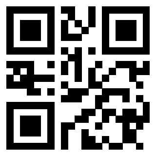 3913633019 QrCode associato