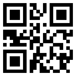 Il Qr Code di 3913633047