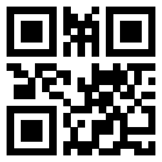 Il Qr Code di 3913633933