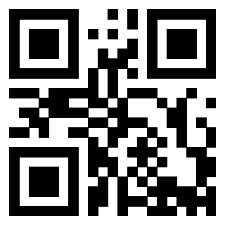 3913634132 QrCode associato