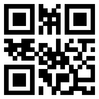 Il Qr Code di 3913634152