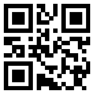 Il Qr Code di 3913634247