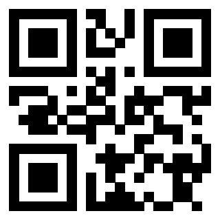 Il Qr Code di 3913634269