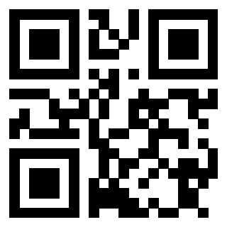 Il Qr Code di 3913634274