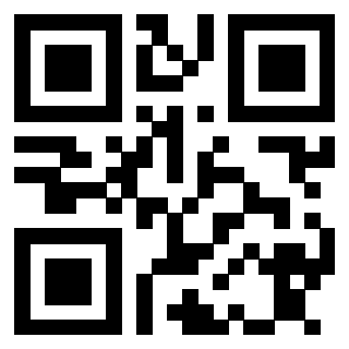 Il Qr Code di 3913634338