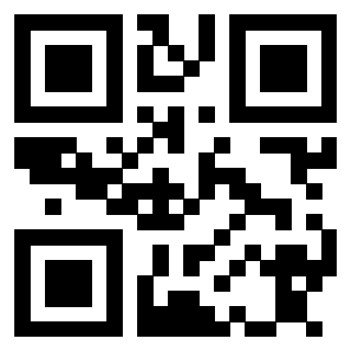 Il Qr Code di 3913634370