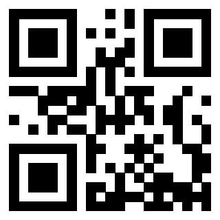 Il Qr Code di 3913634382