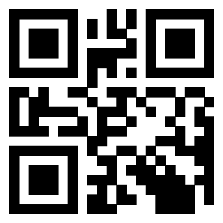 Il Qr Code di 3913634384