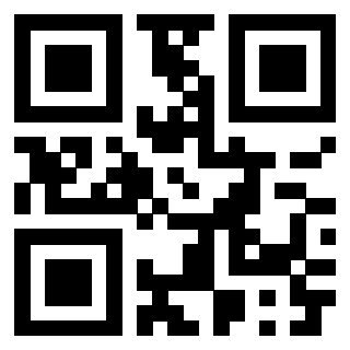 Il Qr Code di 3913634406