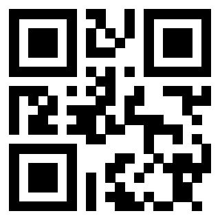 Il Qr Code di 3913634416