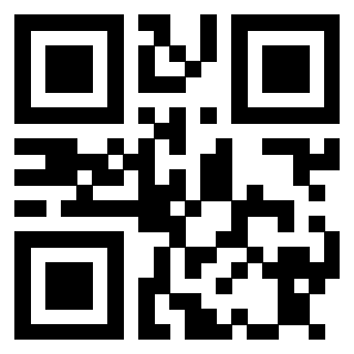 Il Qr Code di 3913634454