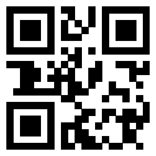 Il Qr Code di 3913634463