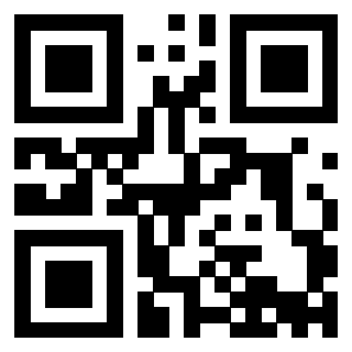 Il Qr Code di 3913634815