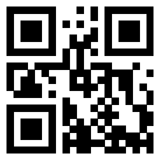 Il Qr Code di 3913634861