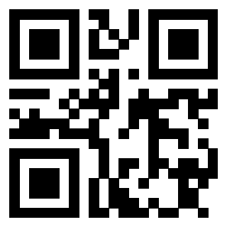 Il Qr Code di 3913634877