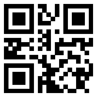 Il Qr Code di 3913634888