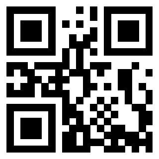 Il Qr Code di 3913634920