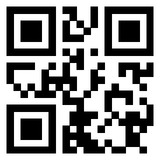 Il Qr Code di 3913634966