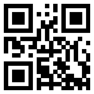 Il Qr Code di 3913635013