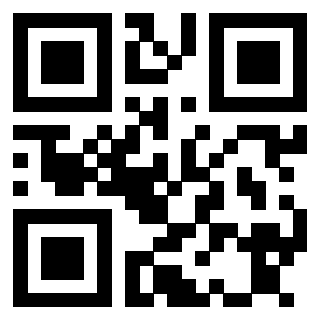 Il Qr Code di 3913635019