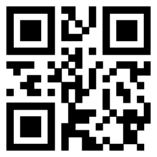 Il Qr Code di 3913635036