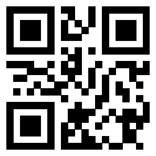 Il Qr Code di 3913635078