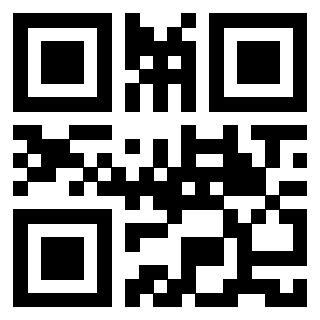 3913635300 QrCode associato