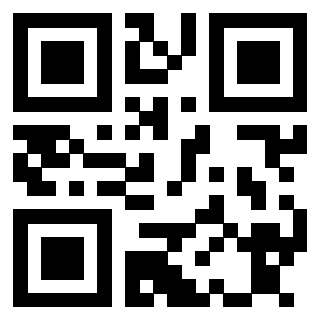 Il Qr Code di 3913635424
