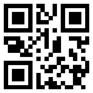 Il Qr Code di 3913635449
