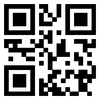 Il Qr Code di 3913635483