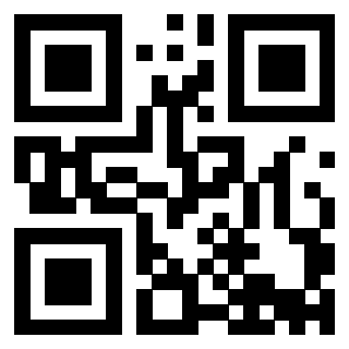 Il Qr Code di 3913635581