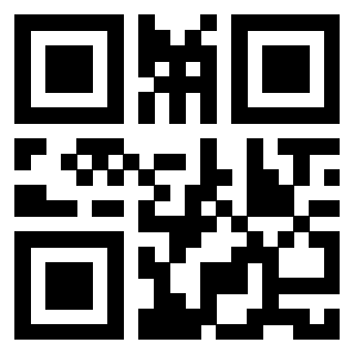 Il Qr Code di 3913635589