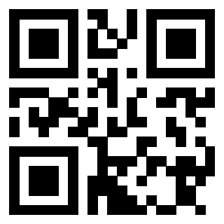 Il Qr Code di 3913635629
