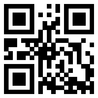 Il Qr Code di 3913635746
