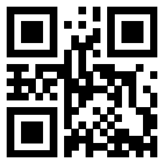 Il Qr Code di 3913635758