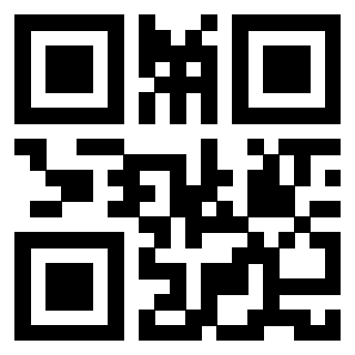 Il Qr Code di 3913635811