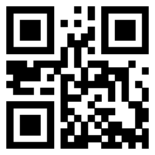 Il Qr Code di 3913635855