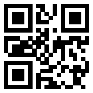 Il Qr Code di 3913635871