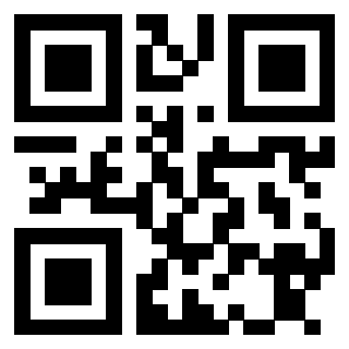Il Qr Code di 3913635899