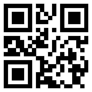 Il Qr Code di 3913671039