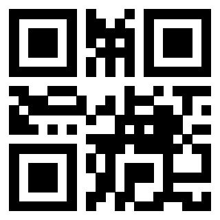 3913671076 QrCode associato