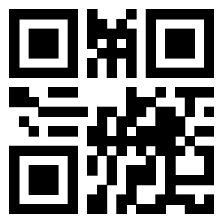 Il Qr Code di 3913671083