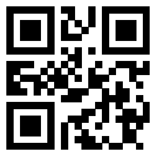 Il Qr Code di 3913671095